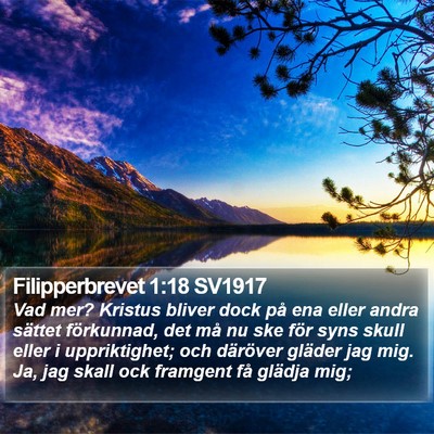 Filipperbrevet 1:18 SV1917 Bible Verse Image