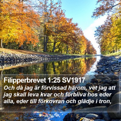 Filipperbrevet 1:25 SV1917 Bible Verse Image
