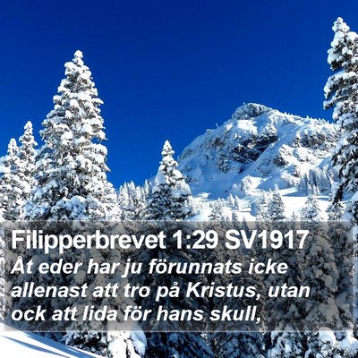 Filipperbrevet 1:29 SV1917 Bible Verse Image
