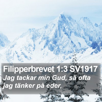 Filipperbrevet 1:3 SV1917 Bible Verse Image