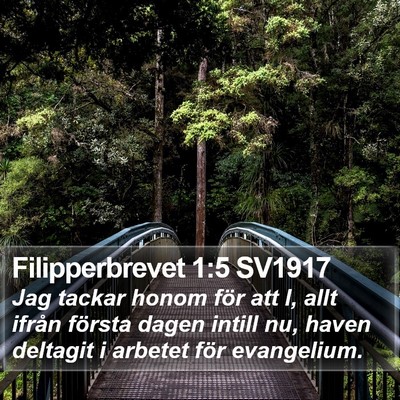 Filipperbrevet 1:5 SV1917 Bible Verse Image