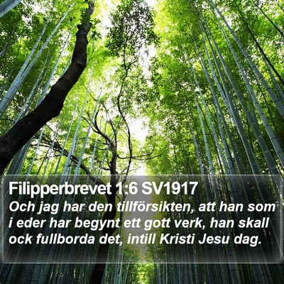Filipperbrevet 1:6 SV1917 Bible Verse Image