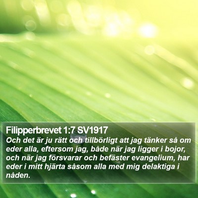 Filipperbrevet 1:7 SV1917 Bible Verse Image
