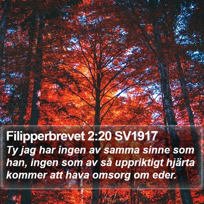 Filipperbrevet 2:20 SV1917 Bible Verse Image