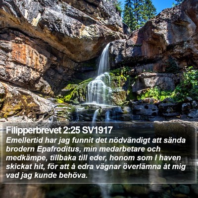 Filipperbrevet 2:25 SV1917 Bible Verse Image