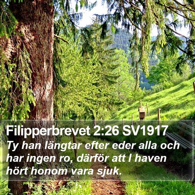 Filipperbrevet 2:26 SV1917 Bible Verse Image