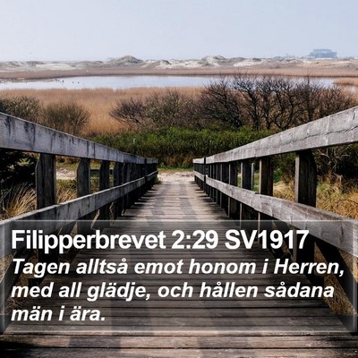 Filipperbrevet 2:29 SV1917 Bible Verse Image