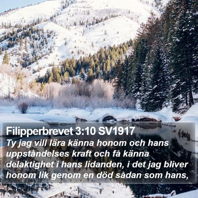 Filipperbrevet 3:10 SV1917 Bible Verse Image