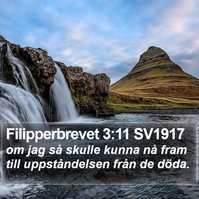 Filipperbrevet 3:11 SV1917 Bible Verse Image