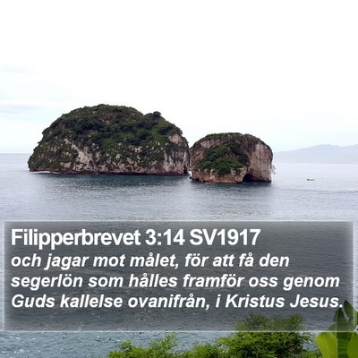 Filipperbrevet 3:14 SV1917 Bible Verse Image