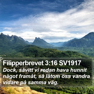 Filipperbrevet 3:16 SV1917 Bible Verse Image