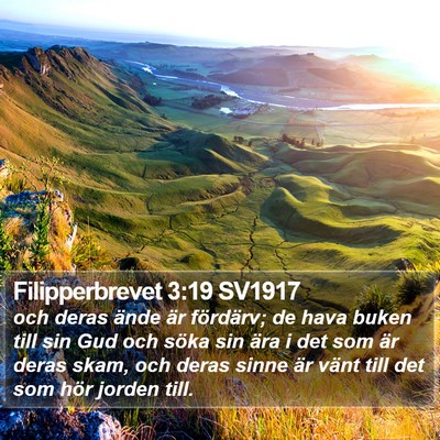 Filipperbrevet 3:19 SV1917 Bible Verse Image