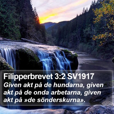 Filipperbrevet 3:2 SV1917 Bible Verse Image