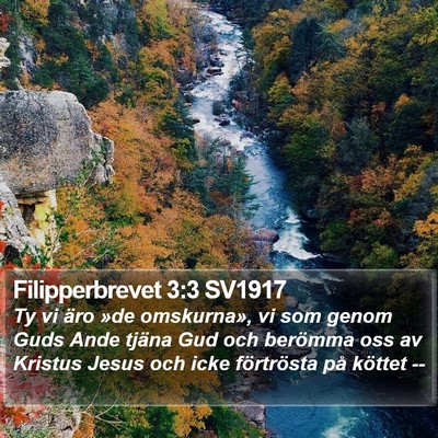 Filipperbrevet 3:3 SV1917 Bible Verse Image