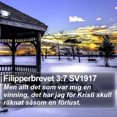 Filipperbrevet 3:7 SV1917 Bible Verse Image