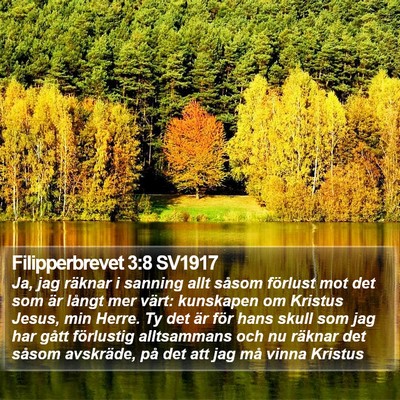 Filipperbrevet 3:8 SV1917 Bible Verse Image