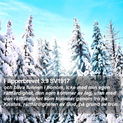 Filipperbrevet 3:9 SV1917 Bible Verse Image
