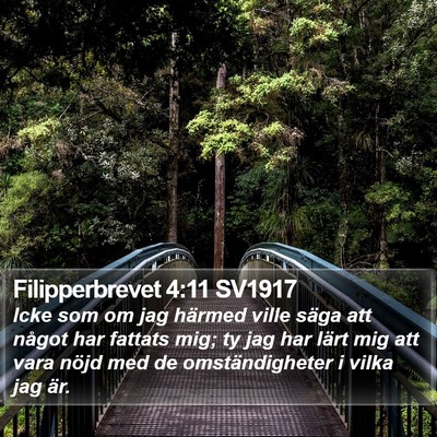 Filipperbrevet 4:11 SV1917 Bible Verse Image