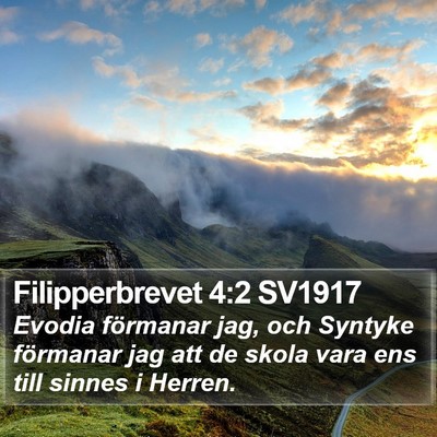 Filipperbrevet 4:2 SV1917 Bible Verse Image