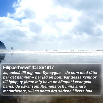 Filipperbrevet 4:3 SV1917 Bible Verse Image