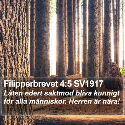 Filipperbrevet 4:5 SV1917 Bible Verse Image