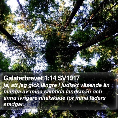 Galaterbrevet 1:14 SV1917 Bible Verse Image
