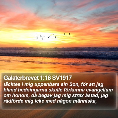 Galaterbrevet 1:16 SV1917 Bible Verse Image