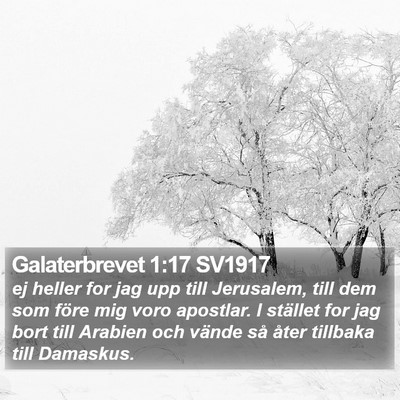 Galaterbrevet 1:17 SV1917 Bible Verse Image