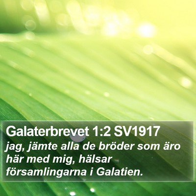 Galaterbrevet 1:2 SV1917 Bible Verse Image