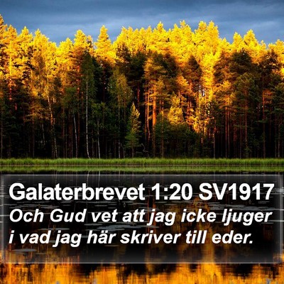 Galaterbrevet 1:20 SV1917 Bible Verse Image