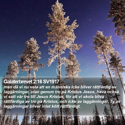 Galaterbrevet 2:16 SV1917 Bible Verse Image