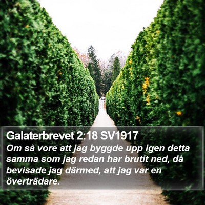 Galaterbrevet 2:18 SV1917 Bible Verse Image