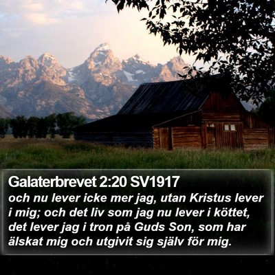 Galaterbrevet 2:20 SV1917 Bible Verse Image