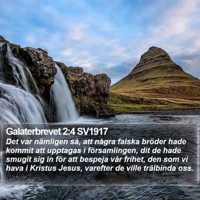 Galaterbrevet 2:4 SV1917 Bible Verse Image