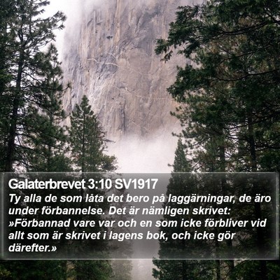 Galaterbrevet 3:10 SV1917 Bible Verse Image