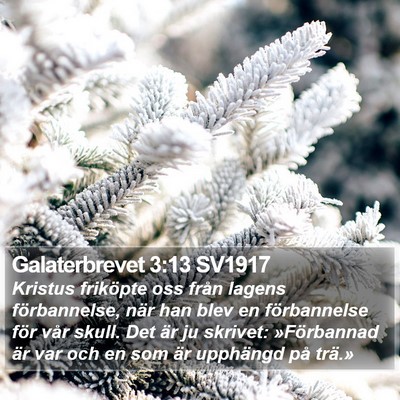 Galaterbrevet 3:13 SV1917 Bible Verse Image