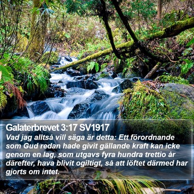 Galaterbrevet 3:17 SV1917 Bible Verse Image
