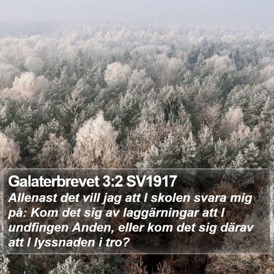 Galaterbrevet 3:2 SV1917 Bible Verse Image