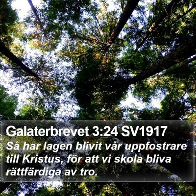 Galaterbrevet 3:24 SV1917 Bible Verse Image