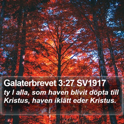 Galaterbrevet 3:27 SV1917 Bible Verse Image