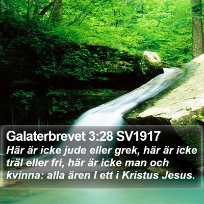 Galaterbrevet 3:28 SV1917 Bible Verse Image