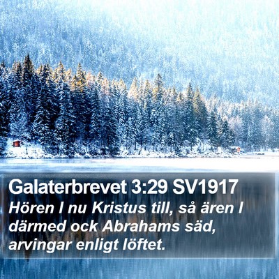 Galaterbrevet 3:29 SV1917 Bible Verse Image