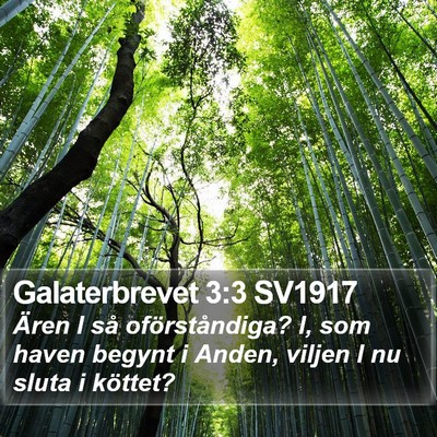 Galaterbrevet 3:3 SV1917 Bible Verse Image