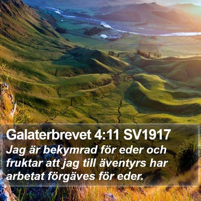 Galaterbrevet 4:11 SV1917 Bible Verse Image