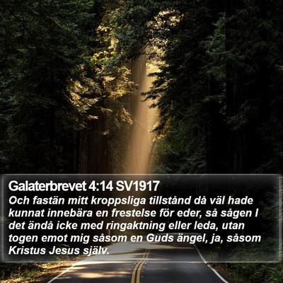 Galaterbrevet 4:14 SV1917 Bible Verse Image