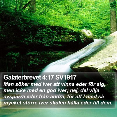 Galaterbrevet 4:17 SV1917 Bible Verse Image