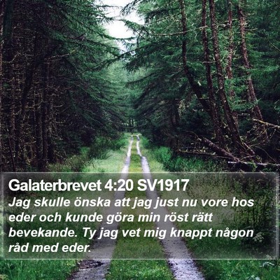 Galaterbrevet 4:20 SV1917 Bible Verse Image