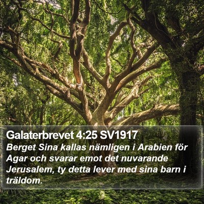 Galaterbrevet 4:25 SV1917 Bible Verse Image