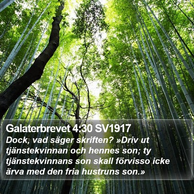 Galaterbrevet 4:30 SV1917 Bible Verse Image