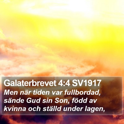 Galaterbrevet 4:4 SV1917 Bible Verse Image